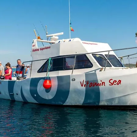 #099 T1 Calicos By Holidays 阿尔布费拉