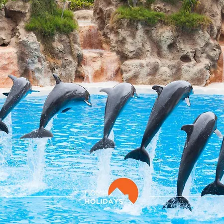 #099 T1 Calicos By Holidays 阿尔布费拉