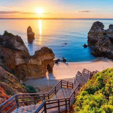 #099 T1 Calicos By Holidays * البوفيرا