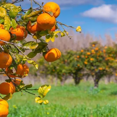 Апартаменти #099 T1 Calicos By Holidays Албуфейра