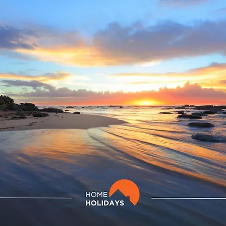 #099 T1 Calicos By Holidays البوفيرا