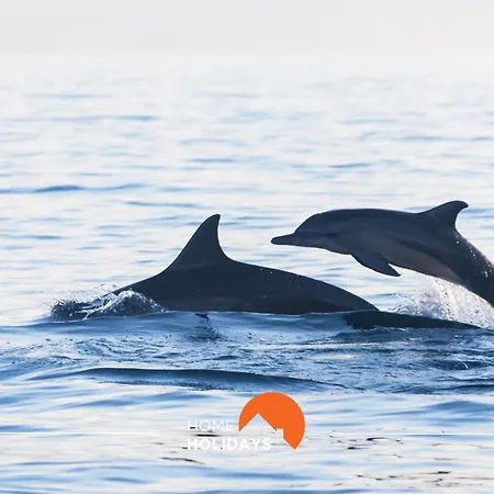 #099 1br Caliços Quiet&local Apartamento *